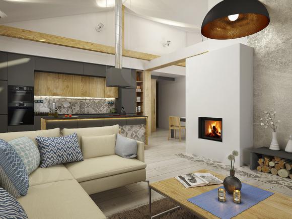 DYNAMIC 2G 66.50.01 - камінна топка пряма, подвійне скло