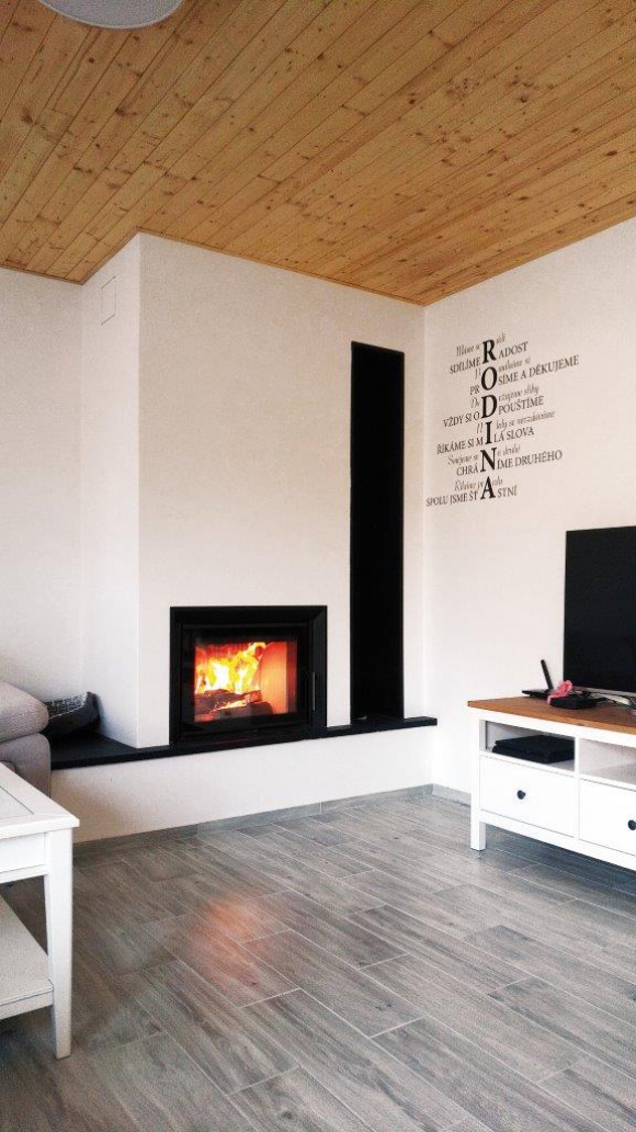 DYNAMIC 2G 66.50.01 - камінна топка пряма, подвійне скло